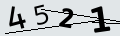 verifycode